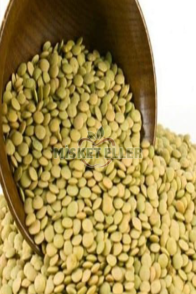 Yeşil Mercimek